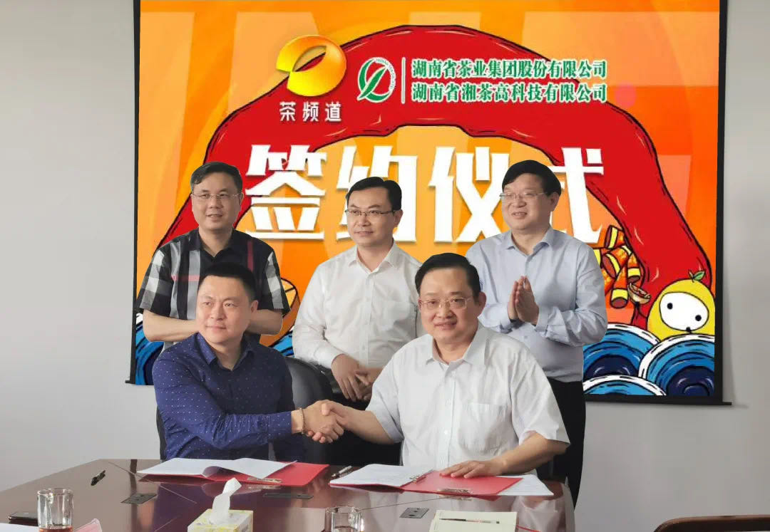 院士見證，輕輕茶發(fā)力品牌建設(shè)，與茶頻道達(dá)成深度合作