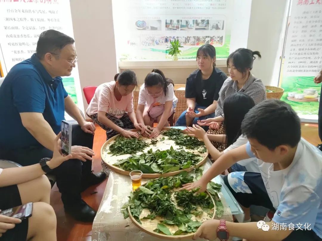 原載人民日報“人民視點”茶葉是怎樣做出來的？湖南大、中、小學(xué)生體驗湖南工夫紅茶制作